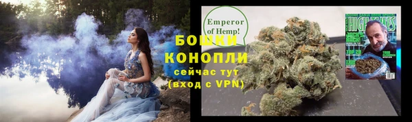 эйфоретик Гусь-Хрустальный