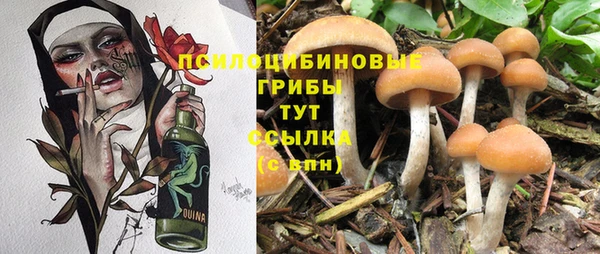 эйфоретик Гусь-Хрустальный