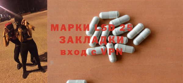 apvp Гусев