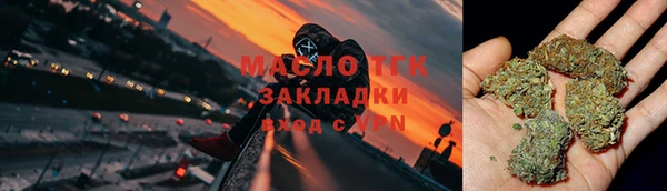 эйфоретик Гусь-Хрустальный