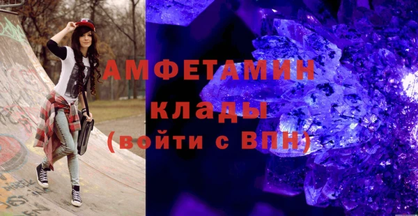 эйфоретик Гусь-Хрустальный