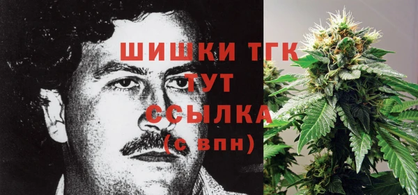 apvp Гусев