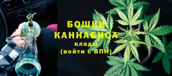 apvp Гусев