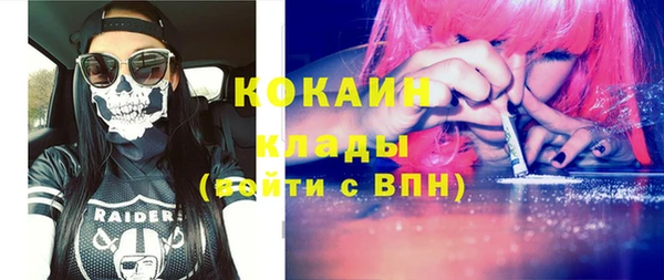 эйфоретик Гусь-Хрустальный