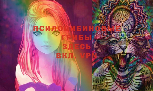 apvp Гусев