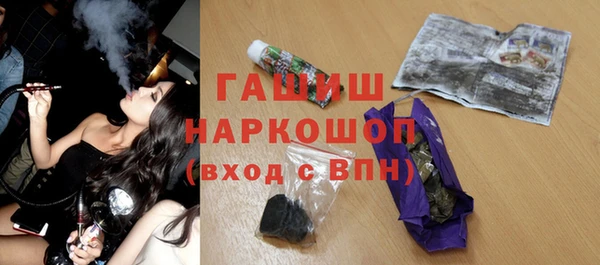 эйфоретик Гусь-Хрустальный