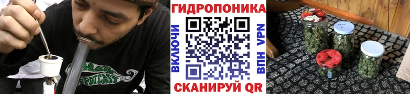 Марихуана конопля  Павловск 
